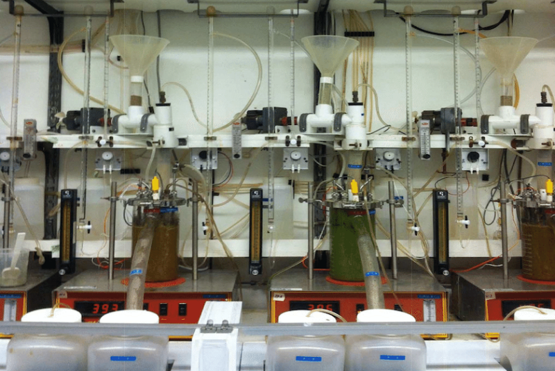 Thermodynamics of Rumen VFA Studied