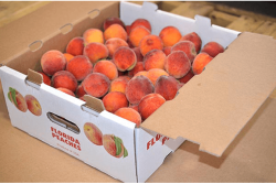 Sampling programs help introduce shoppers to Florida peaches, which are unique in that they are ripened on the tree.
