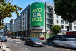 California Avocado Commission