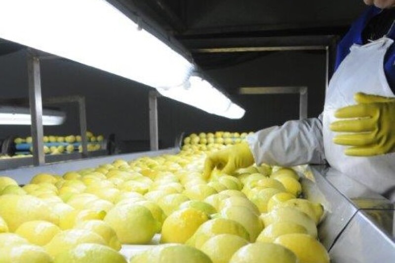 U.S. allows system approach for Chilean lemons