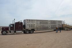 The Modernizing Agricultural Transportation Act has been introduced in the House of Representatives and is yet another legislative proposal that offers fixes for livestock haulers regarding hours of service rules.