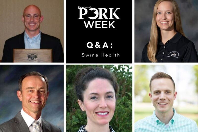 Veterinarians PORK Week