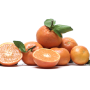 C617E293-0EAB-48CC-B52E9E16B346DDAA.png