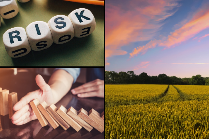 Risk Management