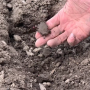 Teach you planter to dance in wet soils.