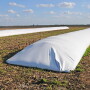 Whether your yields topped your storage capacity or wild weather destroyed your grain bin system, you have a few options for additional storage. Which should you choose? 