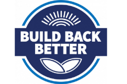 Build back better