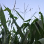 “In these tighter times, retailers know they need to make the best recommendations for their growers; they have to feel confident that the products will give the results the farmer wants." 