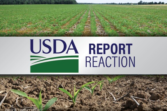 USDA Report Reaction - Lindsey Pound