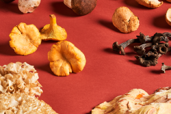 Various mushrooms