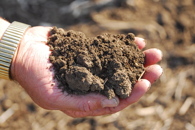 Roundup of Biostimulants Options
