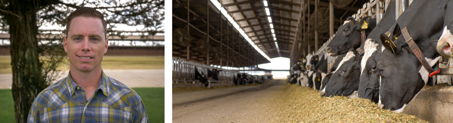 Tyler Ribeiro Data, Dirt and the 100-Year Legacy: Inside Rib-Arrow Dairy’s Tech ...