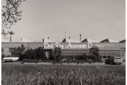 del-rey-building-vintage.jpg