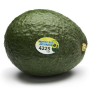 263D9164-421A-47D2-B6CC7E224987B15D.png