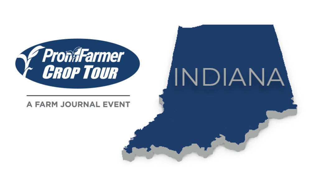 Indiana crop tour results