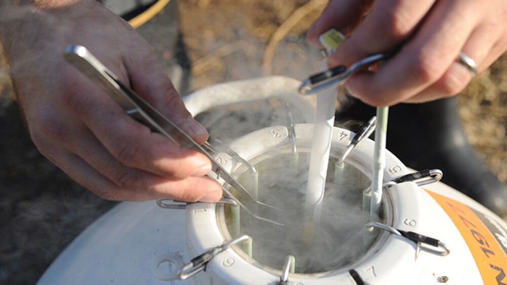 Semen Tank