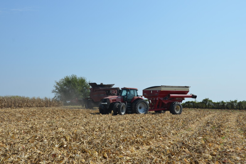 Much of the 2019 crop still has a long way to go. Early frost and other weather ailments could further diminish the crops' final yield.