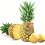 1D5CFFFF-18D6-4505-B970BFA001DC9A0E.png