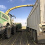 Helger Creek Farms
