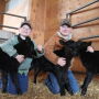 Triplets