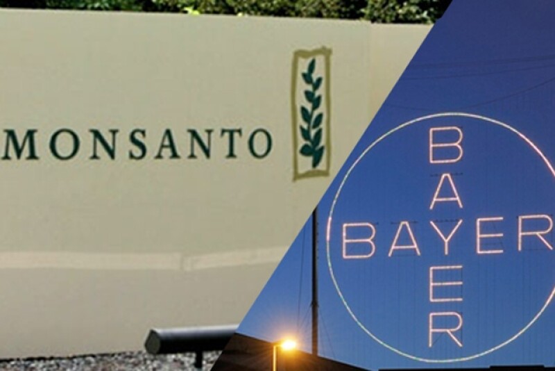 By some estimates, the Monsanto/Bayer Merger could be valued at $56 Billion.