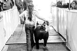Lily Ann Crosby of Georgia, junior showmanship winner
