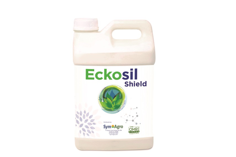 Eckosil