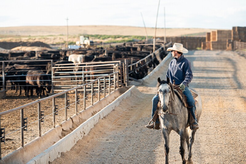 U.S. Roundtable For Sustainable Beef