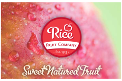 Rice Fruit Co..png
