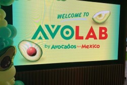 avolab