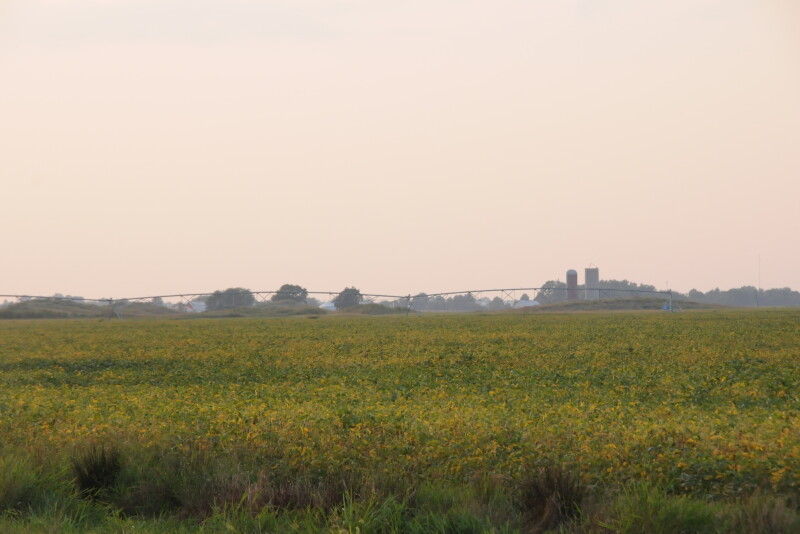 The farm economy remains under pressure, with several key indicators showing farmers are facing financial strain. But, a few positive factors could help support credit conditions in the future.