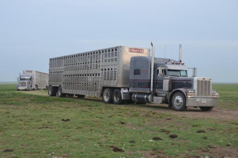 All agriculture haulers could be exempted from using electronic logging devices (ELD) if the latest version of the Agricultural Business Electronic Logging Device Exemption Act of 2018 advances through Congress.