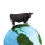 globalBEEF2_isolated_2.jpg