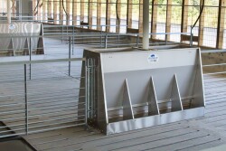Hog Slat Magnum Feeder