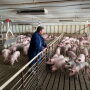 A modest improvement in production costs is expected in 2023, but the report notes local conditions will vary and risk management will remain critical to success.