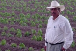 Crespo founder Roberto Crespo Fitch.