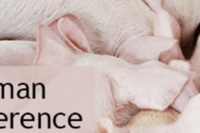 The 2019 program offers a host of invaluable swine-health topics for producers and industry professionals.