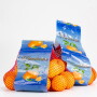 citrus