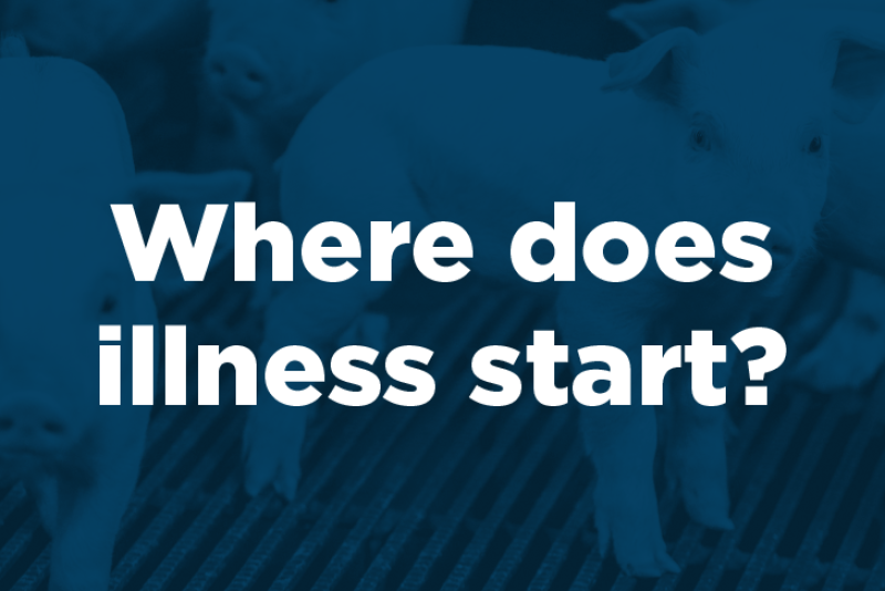 To be successful in today’s pork industry — with variables from disease challenges to market fluctuations — production efficiency is critical to keeping productivity high, which means management decisions become critical.