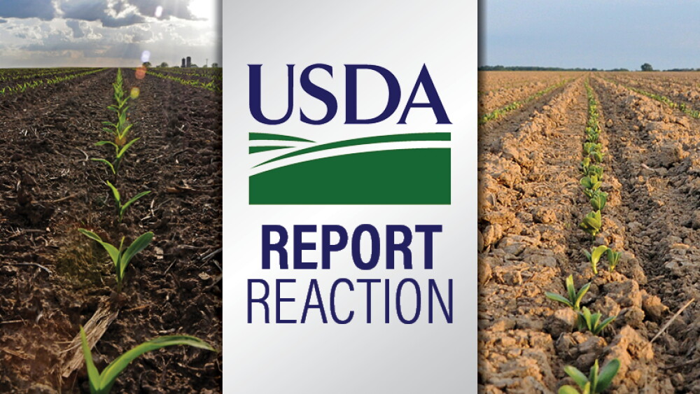 USDA Report Reaction