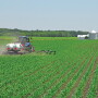 Ken Ferrie said as the calendar races toward May, with more rain in the forecast, planting shouldn't wait on fertilizer. 