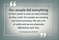 tera dvm quote