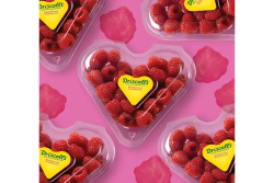heart-shaped raspberry clamshell