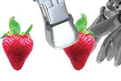 automation-banner-2.jpg
