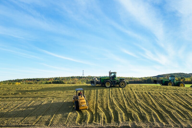 Silage Pile_Tracey Buyce