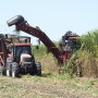 in this undated photo, a sugarcane harvester pushes through the crop in St. Martin Parish, Louisiana. While this crop is headed to a raw sugar factory, much of the Brazilian sugarcane crop heads to an ethanol plant. But the country is starting to embrace corn based ethanol.
