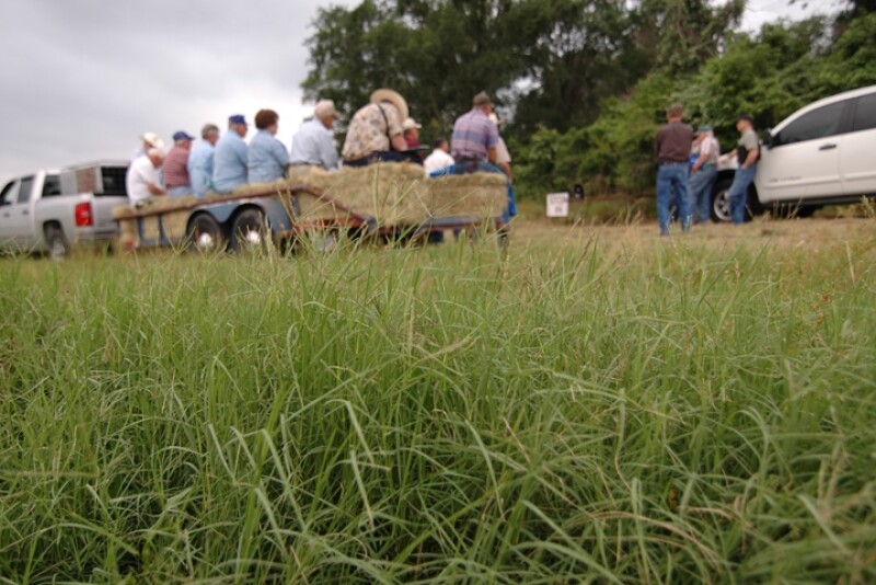 Forage_Workshop