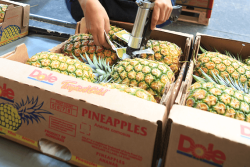 Dole pineapple packing