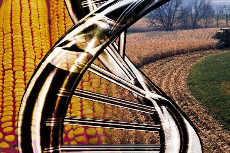 USDA will not seek to regulate gene editing technologies.