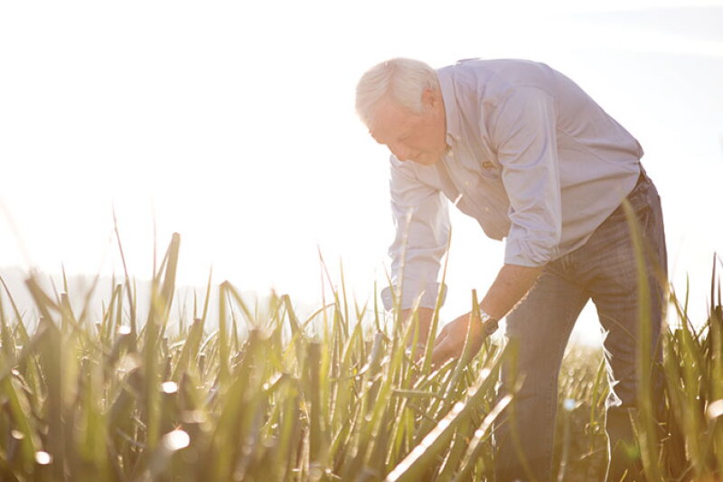 Delbert Bland, president and owner of Bland Farms, checks out the Vidalia onion crop. The company has put a number of safety regulations in place for H-2A workers in light of the COVID-19 pandemic, he says.
